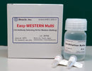 Easy-WESTERN Multi