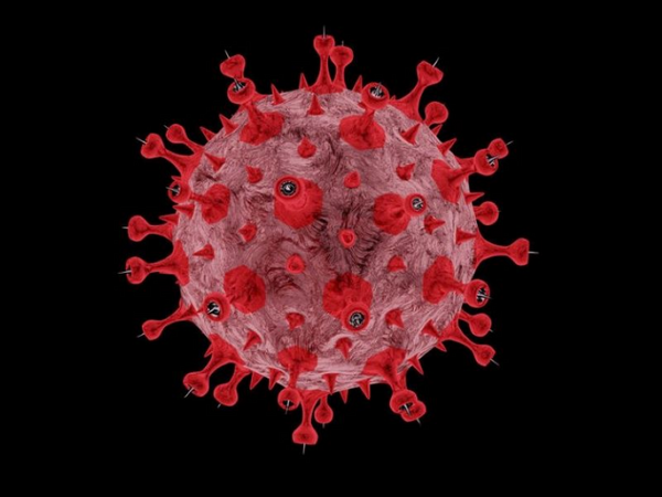 新型コロナウイルス研究用試薬（Nタンパク質）